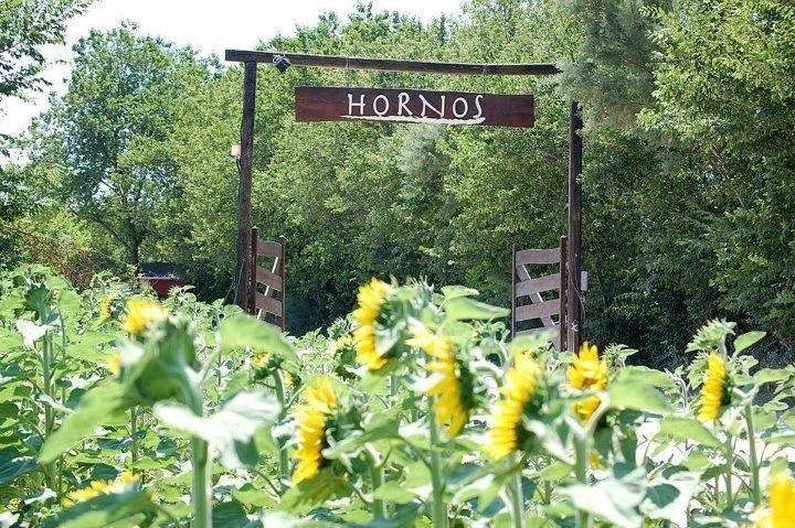 Agriturismo Hornos Numana Luaran gambar